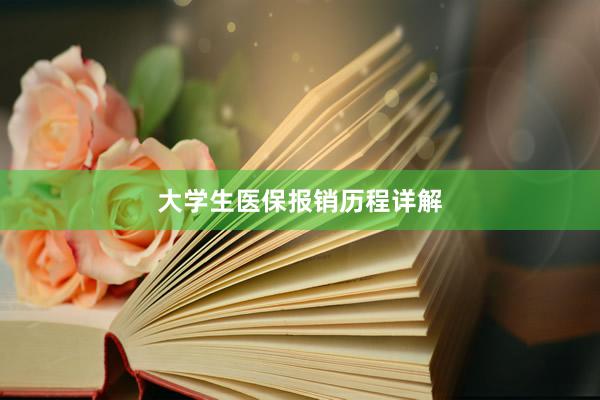 大学生医保报销历程详解